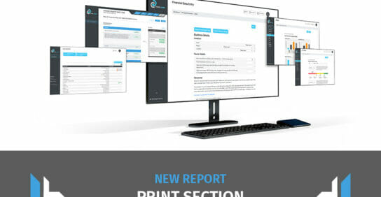 new report print section